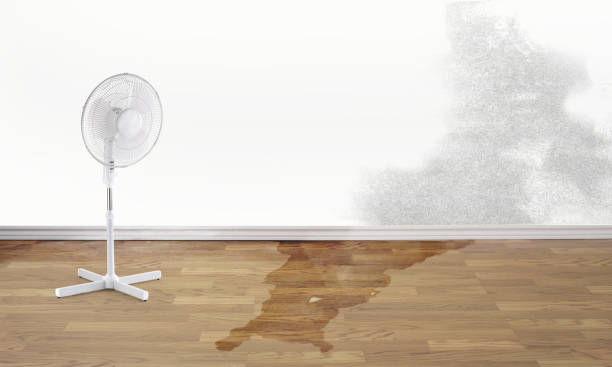  Oswego, NY Water damage restoration Pros