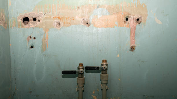 Best Mold removal after water damage  in Oswego, NY